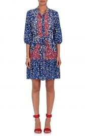 Tyra Leopard-Print Silk Dress at Barneys